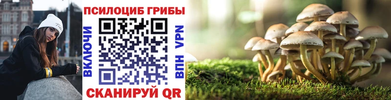 Галлюциногенные грибы Psilocybe  Нижнеудинск 