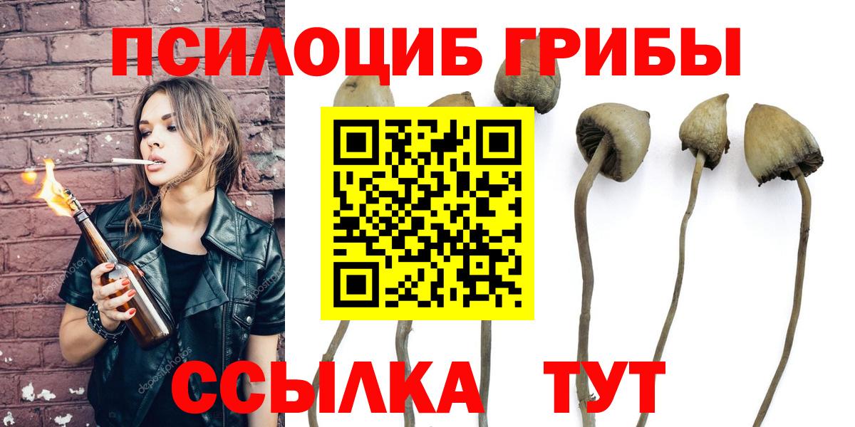Галлюциногенные грибы Cubensis  Вход с VPN  Нижнеудинск 